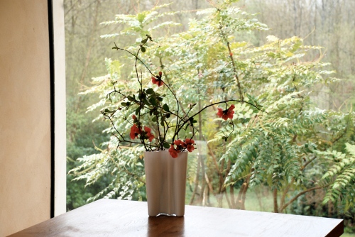 ornamental_quince_flower_arrangement